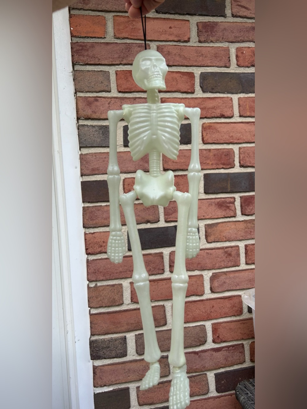 Halloween 🎃 5 items - Candy ITEMS decoration ONLY — -skeleton - pumpkins Decor